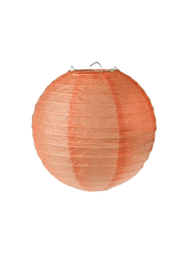 Lantern Coral 20 cm main product photo