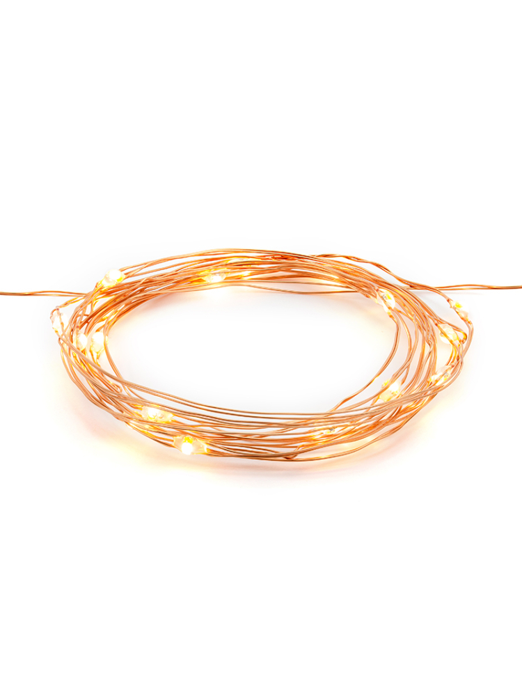 Decorative LED Lights Copper main product photo