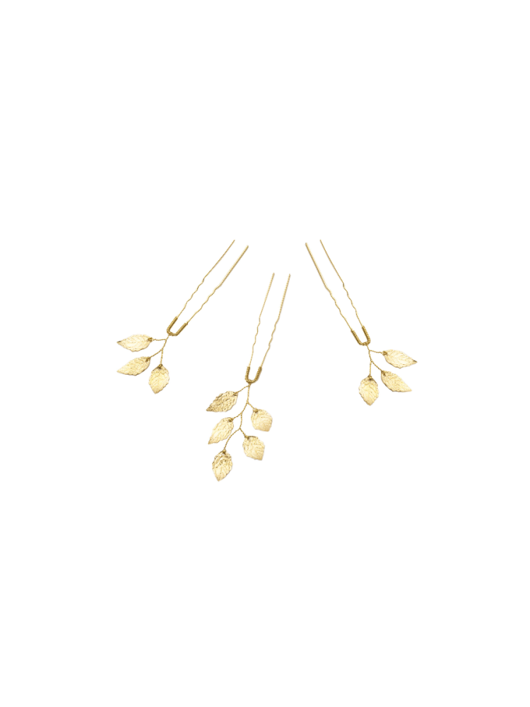 abrazi Hairpins HS-LF-Gold main product photo