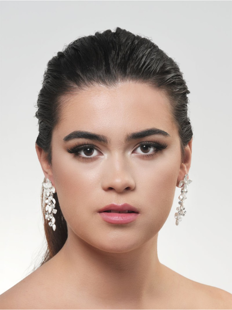 Poirier NC-1334 Earrings Silver main product photo