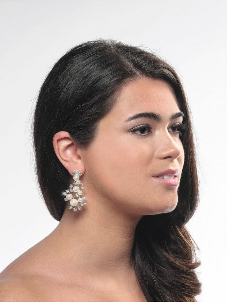 Poirier NC-1338 Earrings Silver main product photo