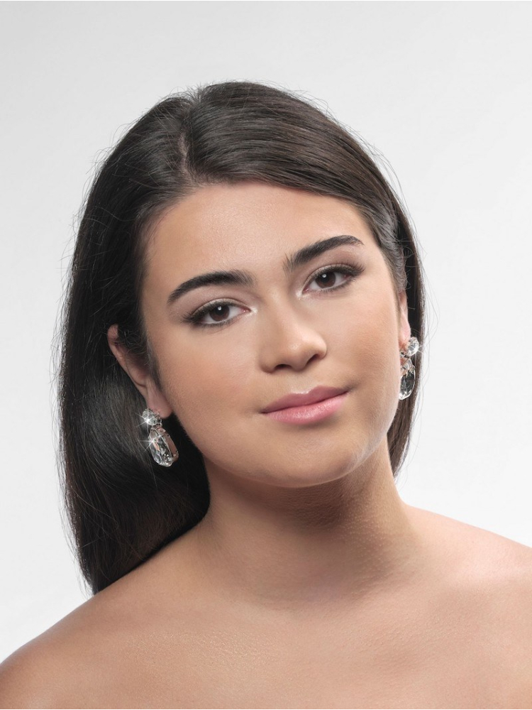 Poirier NC-1339 Earrings Silver main product photo