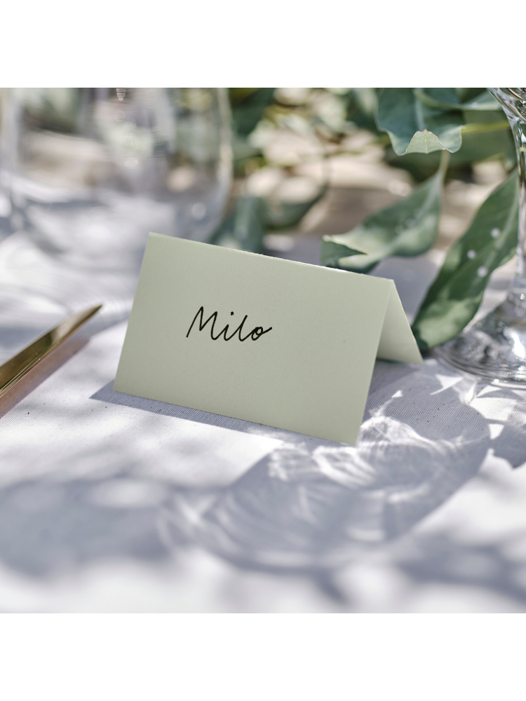 Ginger Ray SW-844 Sage Wedding Place Cards main product photo