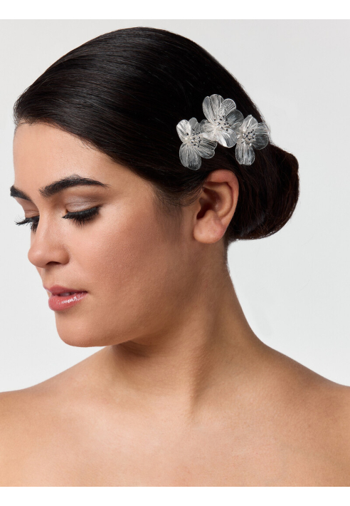 Poirier BB-75025 Hair comb Silver ()