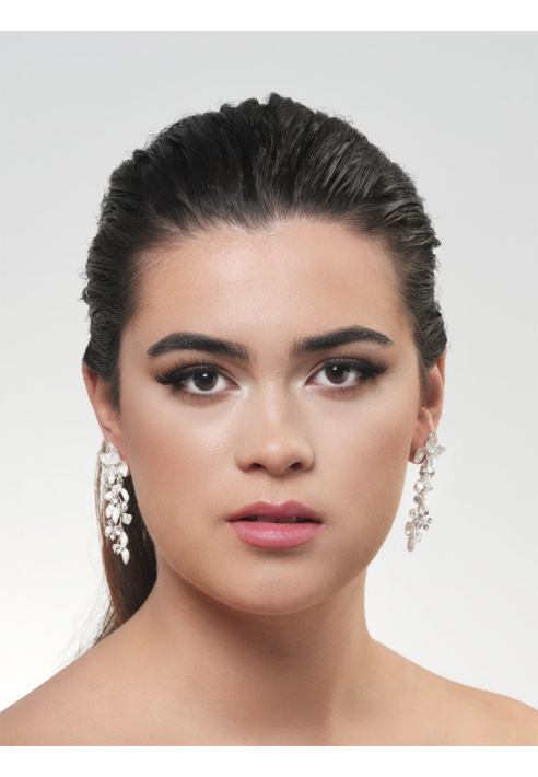 Poirier NC-1334 Earrings Silver ()