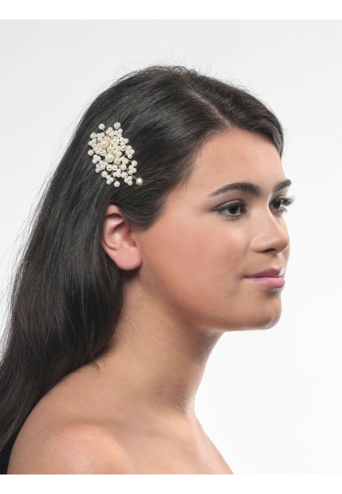 Poirier BB-248 Hair Clip ()