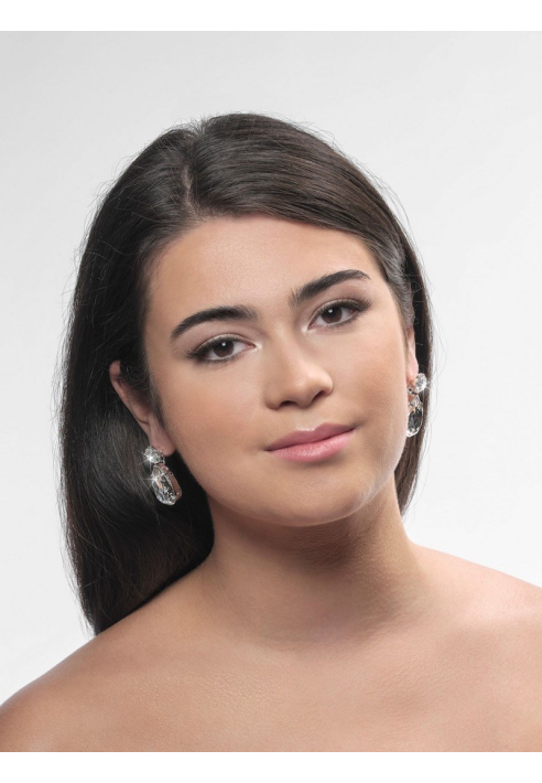 Poirier NC-1339 Earrings Silver ()