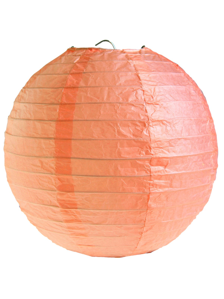 Lantern Coral 50 cm main product photo
