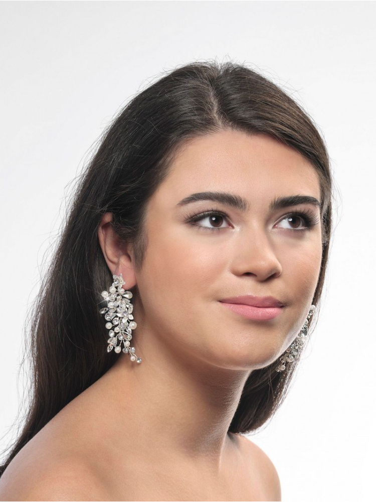 Poirier NC-1323 Earrings Silver main product photo